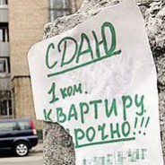Ворон ворону – глаз не выклюет